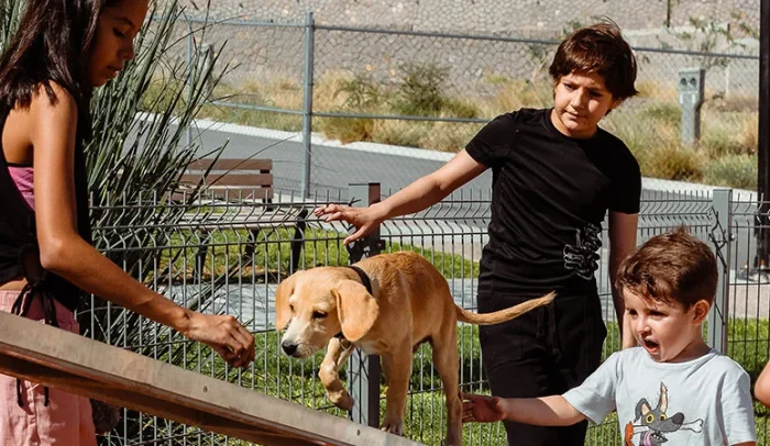 Niños jugando con sus mascotas en el Pet Park de Trento Residencial